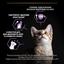 Сухой корм для котят Purina Pro Plan Kitten <1 Healthy Start с курицей 1.5 кг (12369475) - миниатюра 6