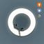 Настенный светильник-ночник Zazu, с датчиком движения (ZA-WALL-01) - миниатюра 9