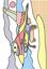 Волшебная водная раскраска Кристал Бук Самолеты, 8 страниц (F00024292) - миниатюра 3