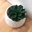 Горшок с искусственным растением МВМ My Home, 10 см, белый (DH-FLOWERS-12 GREEN/WHITE) - миниатюра 4