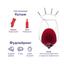 Вино Sogrape Vinhos Silk&Spice Red, червоне, напівсухе, 14%, 0,75 л (43612) - мініатюра 2