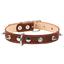 Ошейник для собак Collar, кожаный, двойной, с шипами, 48-63х3,5 см, коричневый - миниатюра 1