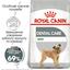 Сухий корм для собак малих порід із підвищеною чутливістю зубів Royal Canin Mini Dental Care, 1 кг (12210109) - мініатюра 3