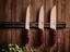 Нож для мяса Tramontina Barbecue Polywood, 20,3 см (6629979) - миниатюра 5