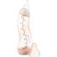 Антиколікова пляшечка для годування Difrax S-bottle Natural Blossom із силіконовою соскою 250 мл (706 Blossom) - мініатюра 1