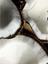Молочко-догляд для тіла Nivea Райський кокос, 200 мл (84381) - мініатюра 3
