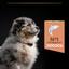 Сухой корм Purina Pro Plan Medium Puppy <1 Sensitive Skin для щенков средних пород с чувствительной кожей с лососем 12 кг (12367295) - миниатюра 7