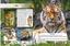 Фотоенциклопедія Кристал Бук Світ навколо нас Великі кішки (F00021260) - мініатюра 3
