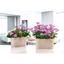 Горщик для квітів Serinova балконний з дренажем Sumela, 4.7 л, антрацитовий (SMLB-Antrasit) - мініатюра 3