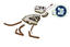 Набор для создания гипсовой фигурки Ses Creative Ти-Рекс со скелетом (14206S) - миниатюра 2