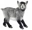 Мягкая игрушка Hansa Карликовая коза, 34 см (7011) - миниатюра 1