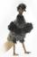 Мягкая игрушка на руку Hansa Страус Эму, 33 см (7355) - миниатюра 2