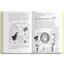 Комікси Блим-Блим Нуль у математиці - Наталі Сомерс (9786178019013) - мініатюра 3