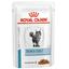 Консервований дієтичний корм Royal Canin Skin&Coat для кішок після стерилізації при дерматозі та випадінні шерсті, 85 г (4092001) - мініатюра 1