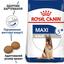 Сухий корм для собак великих порід старше 5 років Royal Canin Maxi Adult 5+, 4 кг (3008040) - мініатюра 4