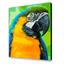 Картина по номерам ArtCraft Попугай Ара 40x50 см (11643-AC) - миниатюра 2
