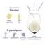 Вино Sturmwolken Riesling, біле, сухе, 11,5%, 0,75 л (856502) - мініатюра 2
