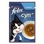 Влажный дополнительный корм Purina Felix Суп для взрослых кошек с треской, 48 г (12479133) - миниатюра 1