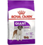 Сухой корм для взрослых собак больших размеров Royal Canin Giant Adult, 4 кг (3009040) - миниатюра 1