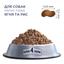 Сухий корм для собак малих порід Club 4 Paws Premium, ягня та рис, 2 кг (B4540911) - мініатюра 2