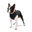 Курточка для собак AiryVest двостороння, XS25, червоно-чорна - мініатюра 3