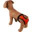 Трусы гигиенические для собак Lucky Pet М 43-51 см оранжевые - миниатюра 2