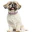 Нашийник для собак BronzeDog Barksi Classic Хвиля шкіряний одинарний зі срібним тисненням 33-43х2 см рожевий - мініатюра 6