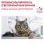 Консервированный корм для взрослых кошек Royal Canin Neutered Maintenance с момента стерилизации до 7 лет, 85 г (40890019) - миниатюра 5