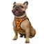 Шлея для собак Bronzedog Sport Vest Пончики XS 17х13х3 см оранжевая - миниатюра 3