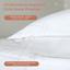 Подушка ТЕП Conte Blanc Prestige 40х60 см белая (3-02002_00000) - миниатюра 4