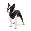 Курточка для собак AiryVest двухсторонняя, XS30, салатово-черная - миниатюра 3