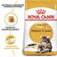 Сухий корм для дорослих котів мейн-кун Royal Canin Maine Coon Adult, з м'ясом птиці, 0,4 кг - мініатюра 2