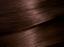 Фарба для волосся Garnier Color Naturals, відтінок 4.15 (Морозний каштан), 110 мл (C4472826) - мініатюра 2