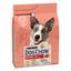 Сухий корм для собак з підвищеною активністю Dog Chow Active Adult 1+, з куркою, 2,5 кг - мініатюра 2