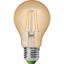 Светодиодная лампа Eurolamp LED Deco, A60, 8W, E27, 2700K, 2 шт. (MLP-LED-A60-08273(Amber)new) - миниатюра 2