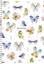 Зошит для записів Student А5, у клітинку, спіраль, 80 арк., Сині метелики (A5-SC-080-6092K) - мініатюра 1