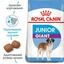 Сухой корм для щенков гигантских пород от 8 до 24 месяцев Royal Canin Giant Junior, 15 кг (3031150) - миниатюра 4