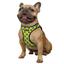 Шлея для собак Bronzedog Sport Vest Поп Арт M 24х18х3 см жовта - мініатюра 3