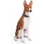 Нашийник для собак Waudog Nylon Рік та Морті 2, c QR паспортом, пластиковий фастекс, XL, 35-58х2, 5 см - мініатюра 4