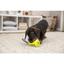 Іграшка для собак Trixie Дзвоник для ласощів, 11 см / 22 см, в асортименті (33412) - мініатюра 6