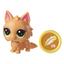Коллекционная фигурка-сюрприз Hasbro Littlest Pet Shop с предсказанием, в ассортименте (E7894) - миниатюра 5