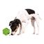 Игрушка-кормушка для собак Trixie Dog Activity Мяч для лакомств, d9 см, в ассортименте (34812) - миниатюра 5
