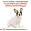 Сухой корм для щенков породы Французский Бульдог Royal Canin French Bulldog Puppy, 3 кг (3990030) - миниатюра 2