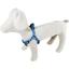 Шлея для собак Lucky Pet Геометрія блакитна капронова 26-40х1 см - мініатюра 2
