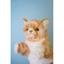 М'яка іграшка на руку Hansa Puppet Імбирний кіт, 30 см, білий з помаранчевим (7182) - мініатюра 5
