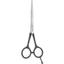 Ножиці перукарські SPL Professional Hairdressing Scissors 5.5, 90043-55 - мініатюра 1