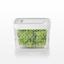Контейнер для хранения продуктов Oxo GreenSaver Produce Keepers, 4 л, прозрачный с белым (11140000) - миниатюра 3