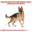 Сухой корм для взрослых собак породы Немецкая овчарка Royal Canin German Shepherd Adult, 3 кг (2518030) - миниатюра 3