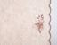 Рушник Irya Laural, 90х50 см, рожевий (svt-2000022261173) - мініатюра 2