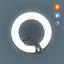 Настінний світильник-нічник Zazu, з датчиком руху (ZA-WALL-01) - мініатюра 8